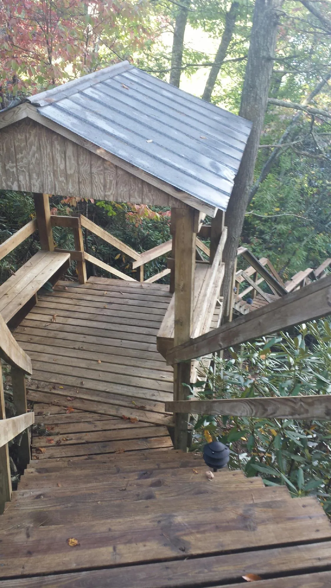 Metal roofed shelter over wooden steps on a wooded walkway — Skylight Repair & Installation work by our crew in Pollock Pines