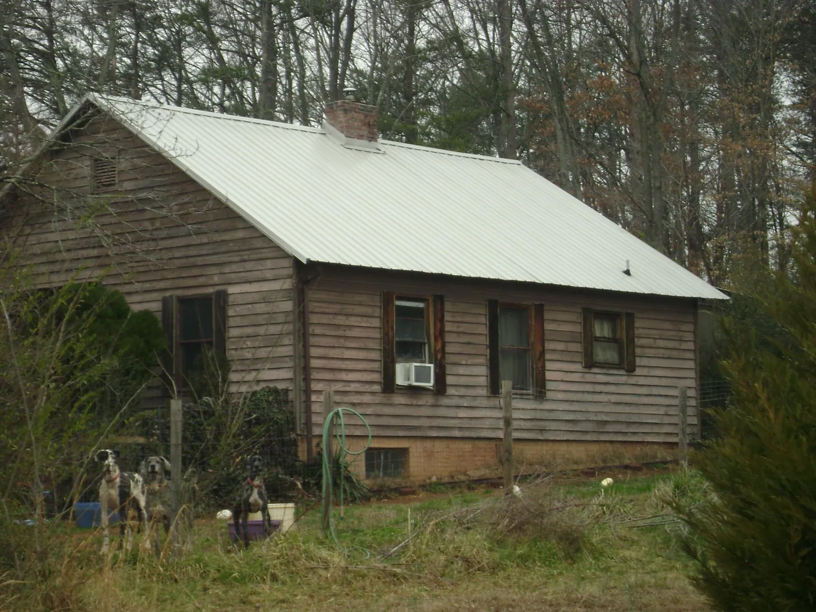 White metal roof on an old wood sided farmhouse, from a Metal Roof Installation job in Pollock Pines